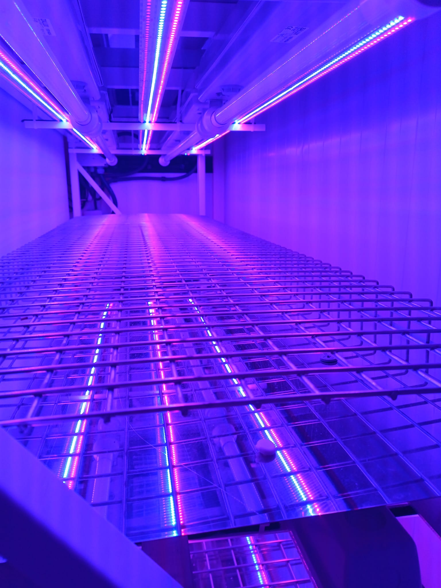 Sistemas de Cultivo de Alta Precisión