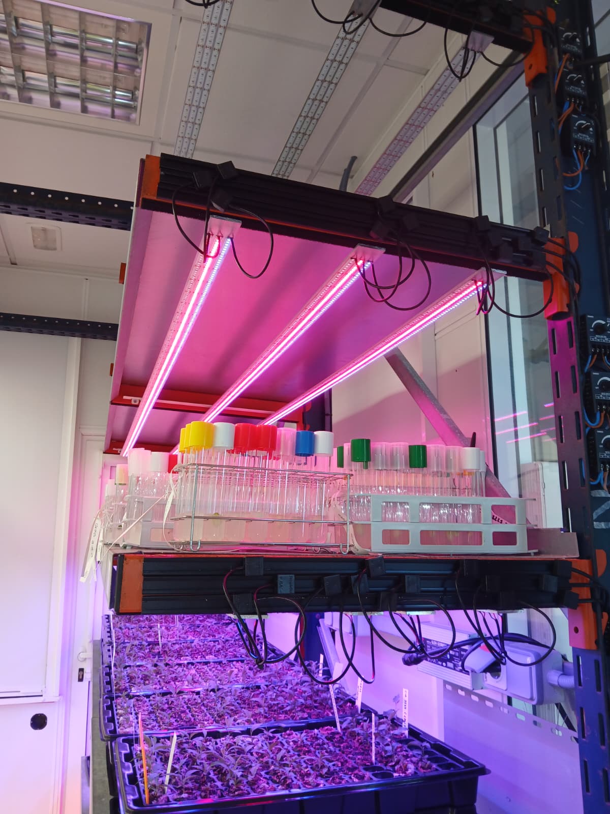 Sistemas de Cultivo de Alta Precisión