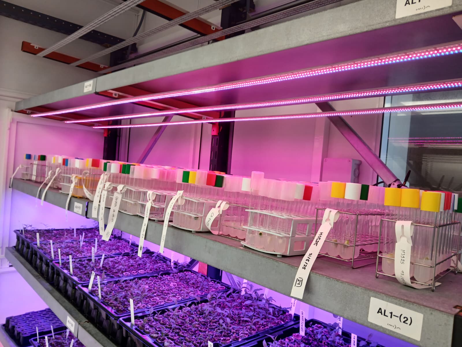 Sistemas de Cultivo de Alta Precisión