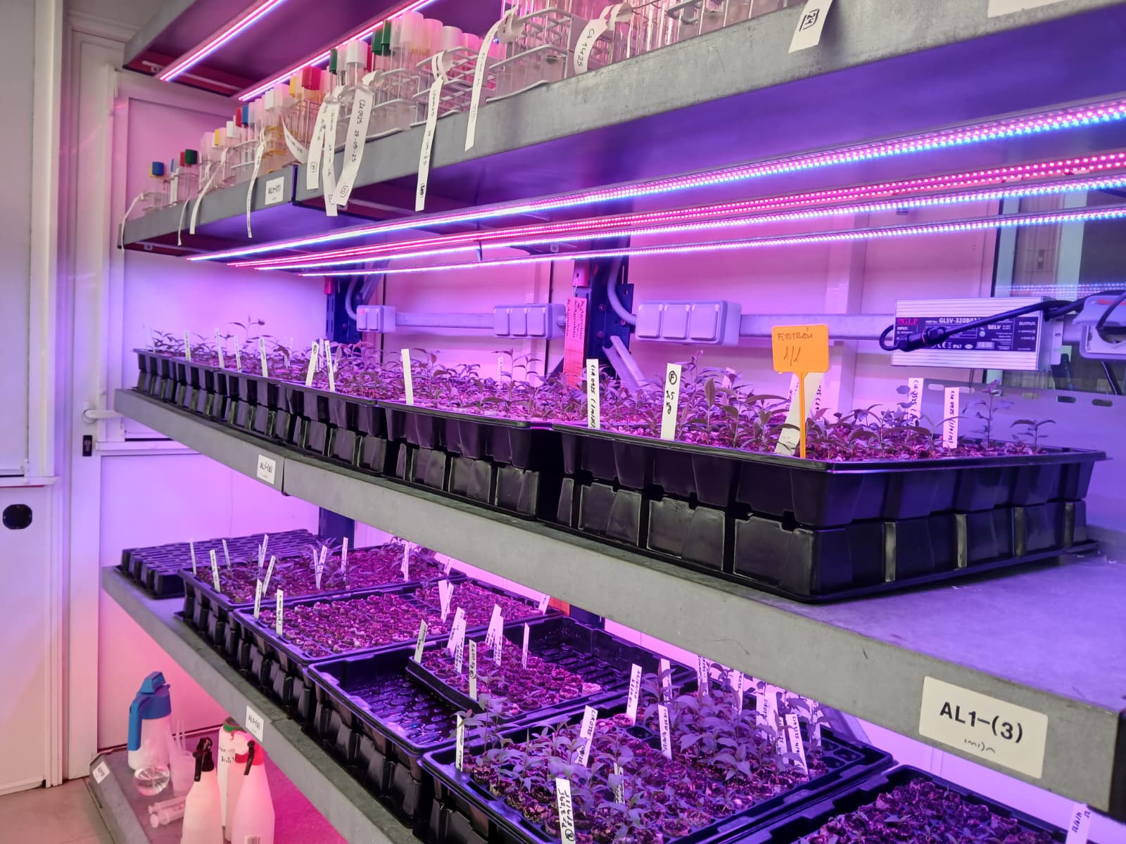 Sistemas de Cultivo de Alta Precisión