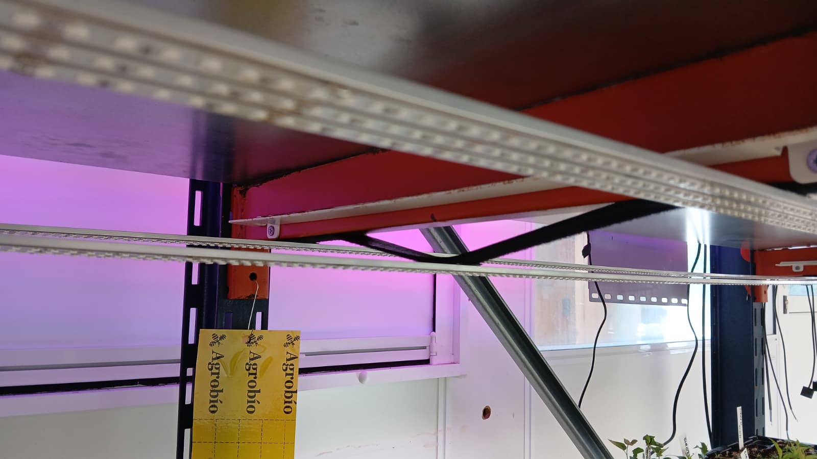 Sistemas de Cultivo de Alta Precisión