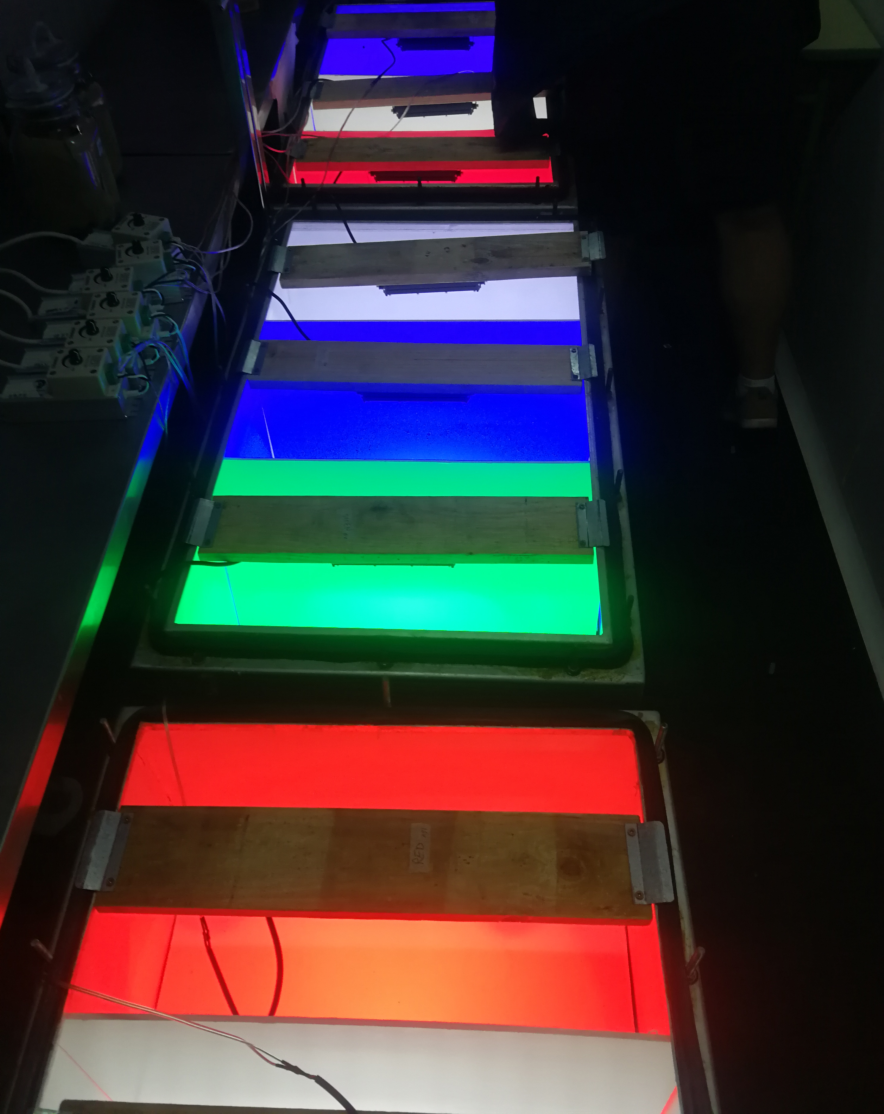 Universidad Politécnica de Cartagena