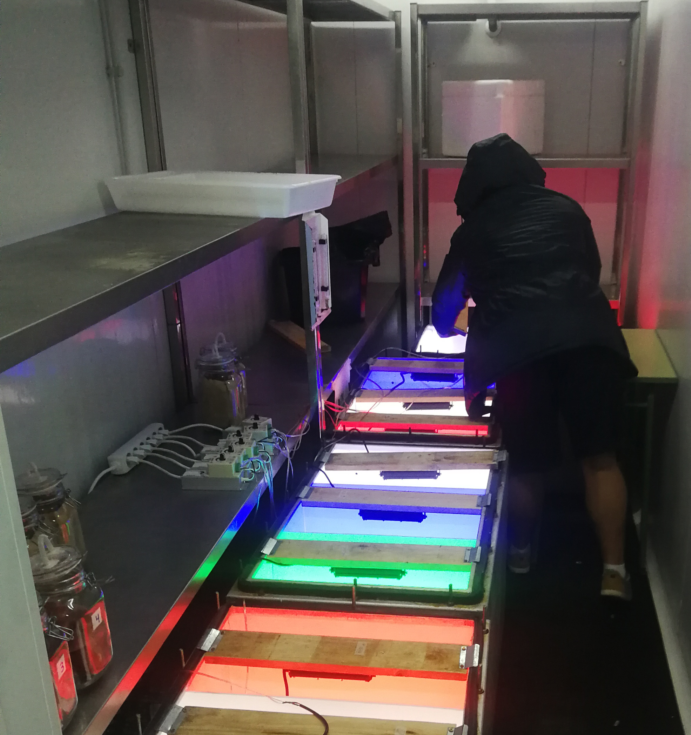 Universidad Politécnica de Cartagena