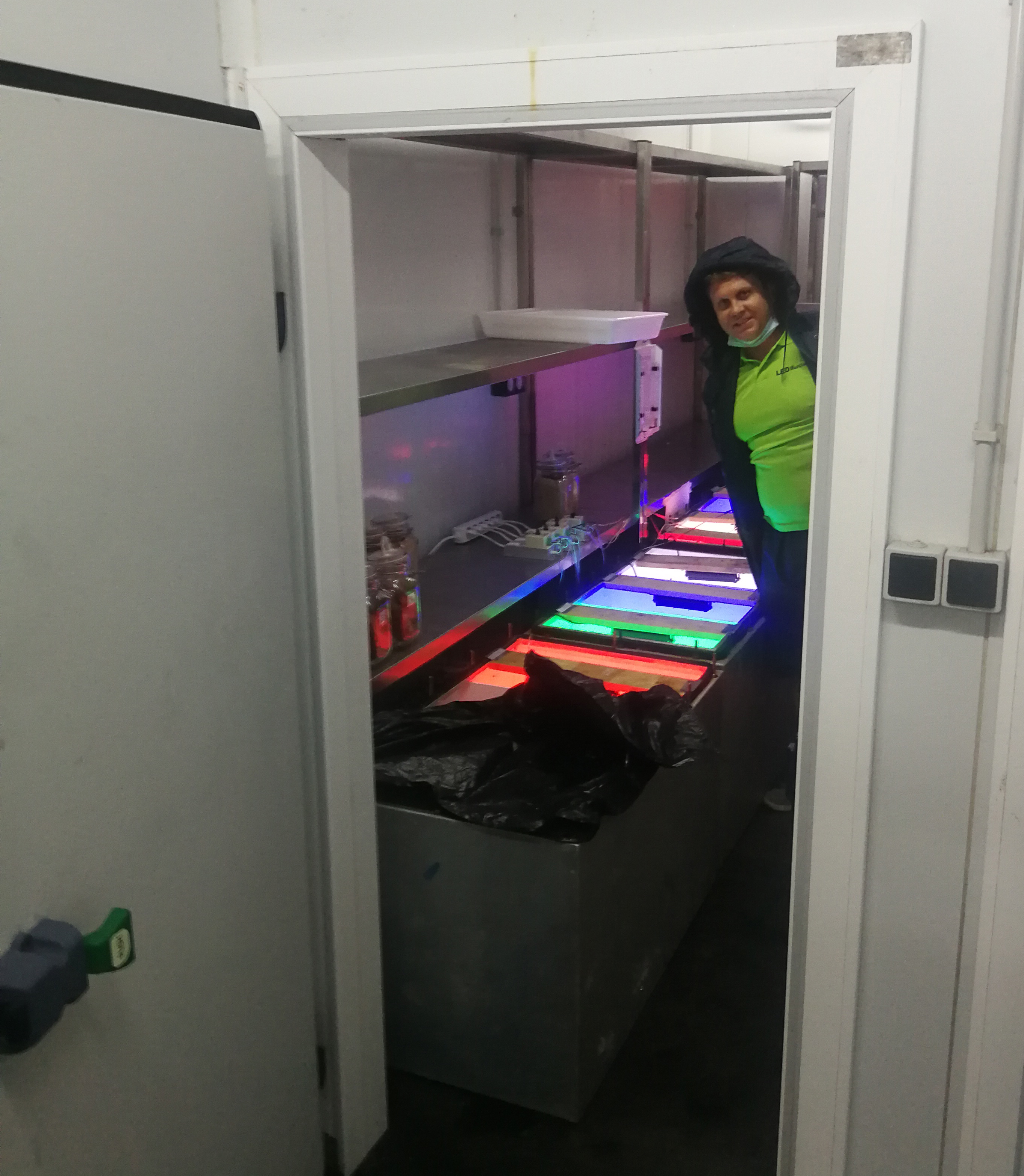 Universidad Politécnica de Cartagena