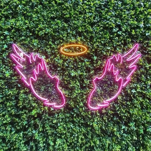 Neon Flex