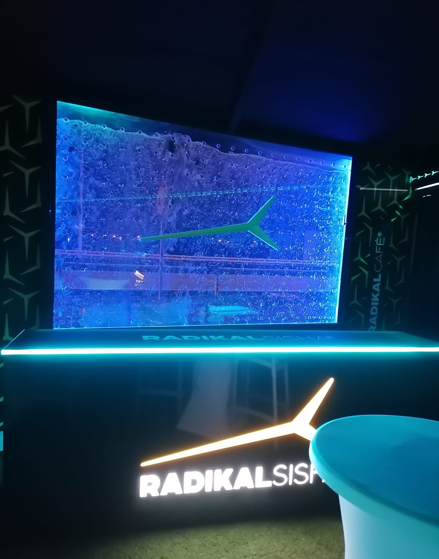 Radikal World