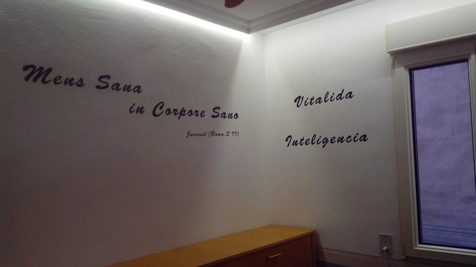 Vitalida Inteligencia