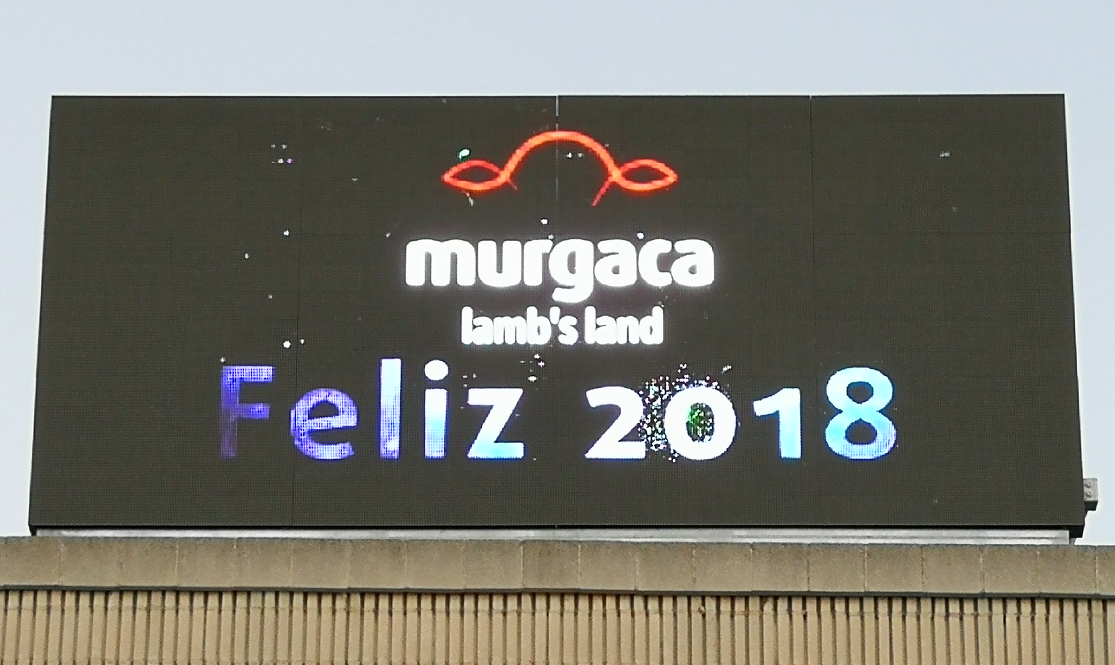 Murgaca