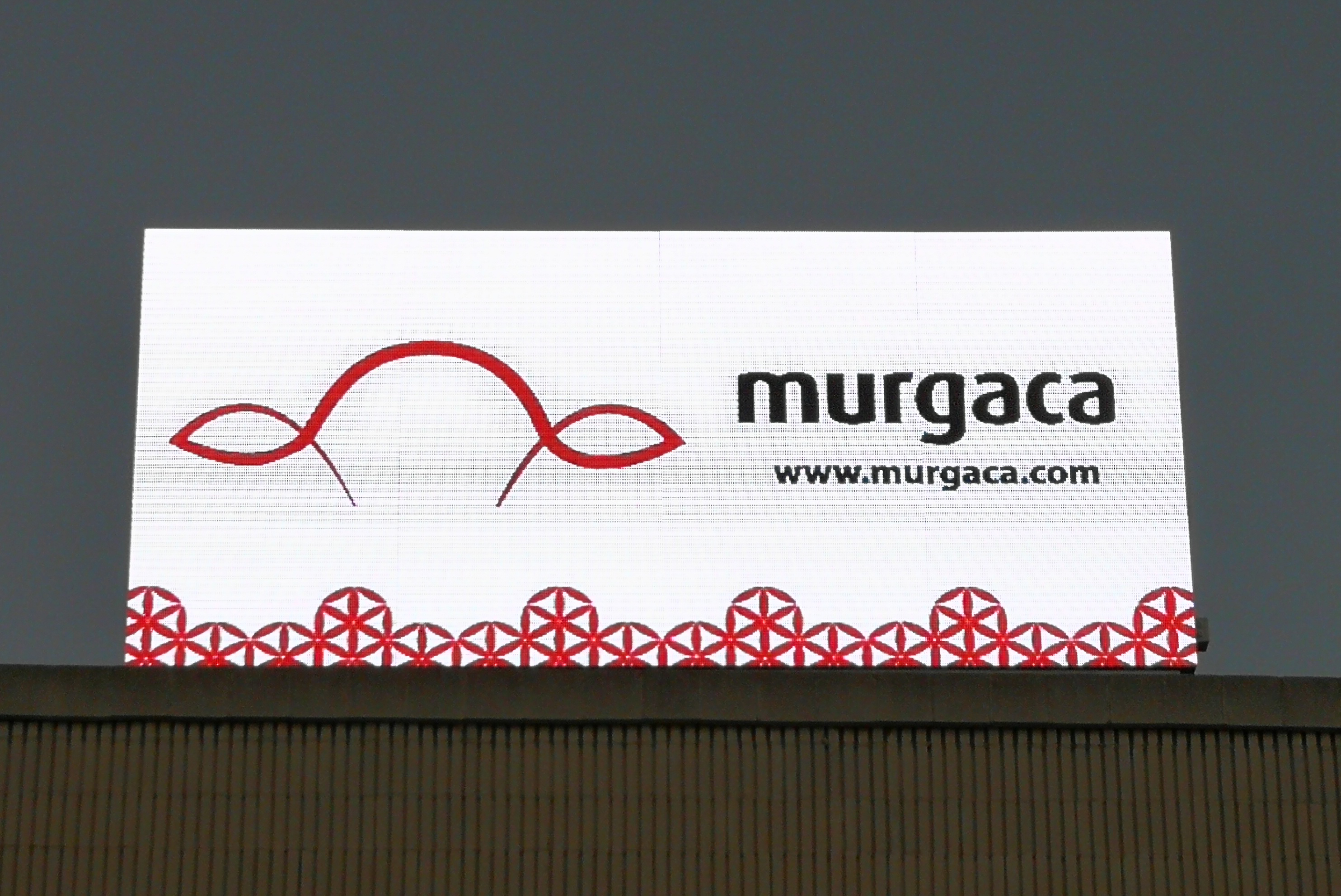 Murgaca